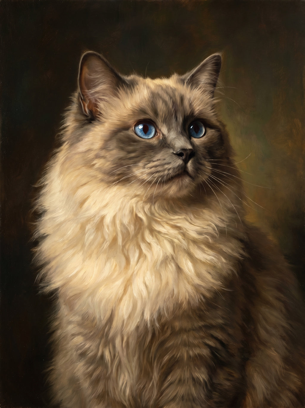 Langhaarige Katze mit blauen Augen als realistisches Gemälde vor dunklem Hintergrund